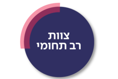 צוות רב תחומי